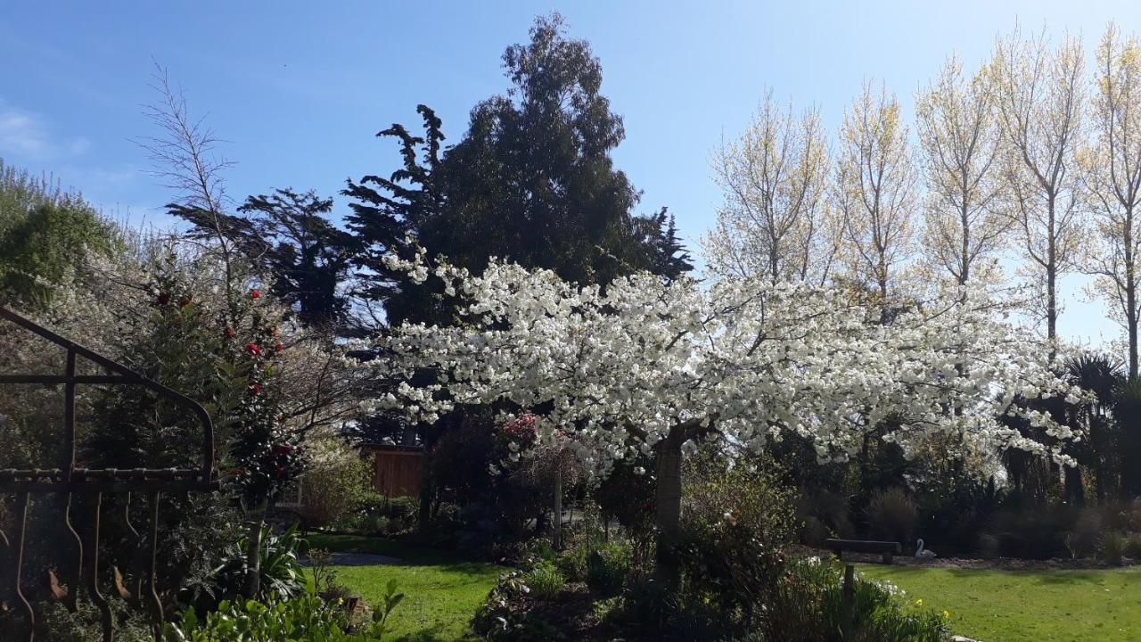 Folster Gardens Bed And Breakfast Invercargill Kültér fotó