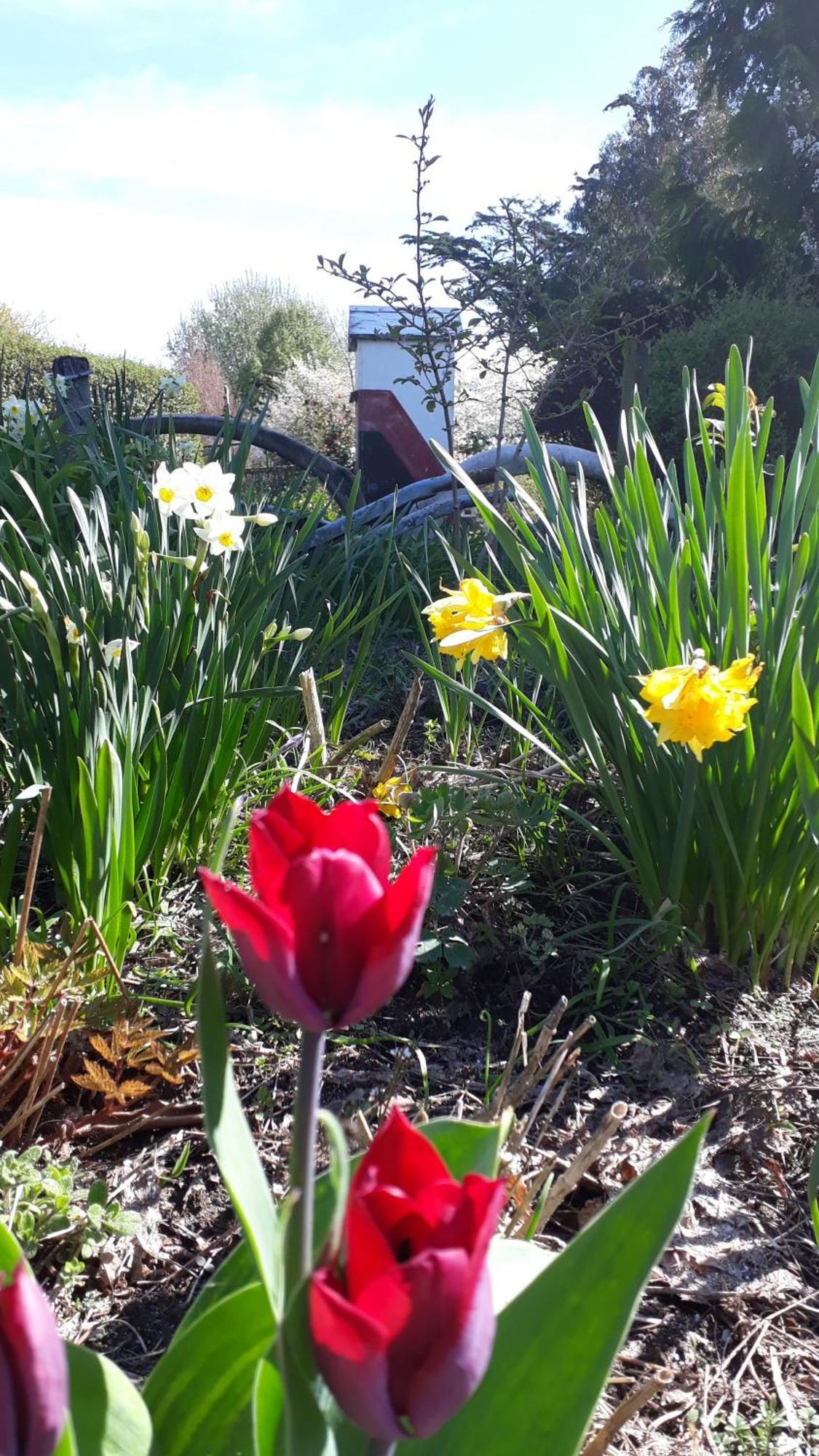 Folster Gardens Bed And Breakfast Invercargill Kültér fotó