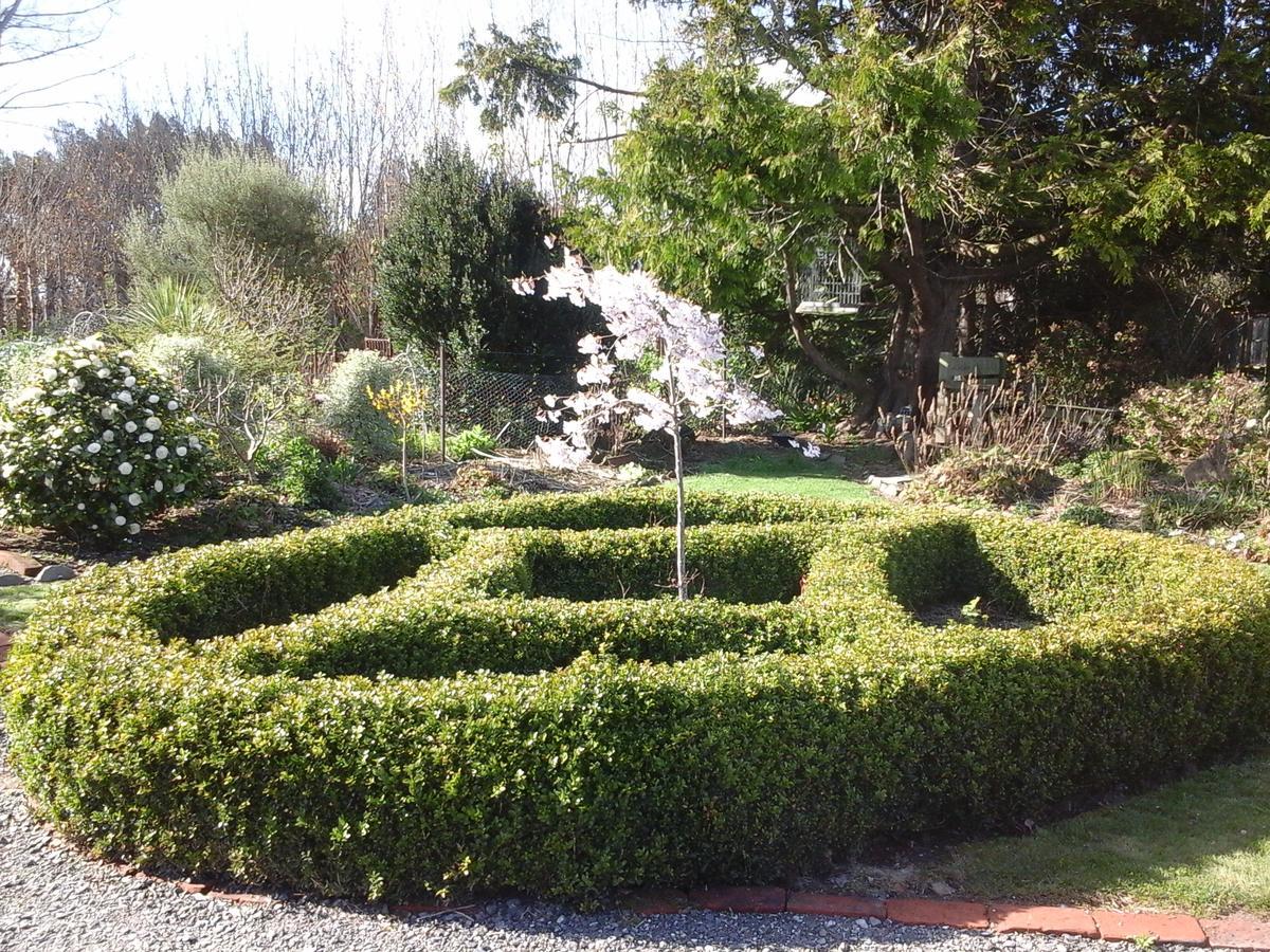 Folster Gardens Bed And Breakfast Invercargill Kültér fotó